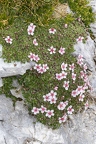 IMG 7140