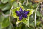 test2