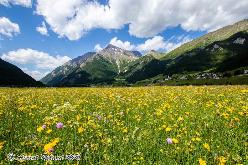 Extensive Wiese Tiefland Pustertal Südtirol 2