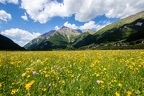 Extensive Wiese Tiefland Pustertal Südtirol 2