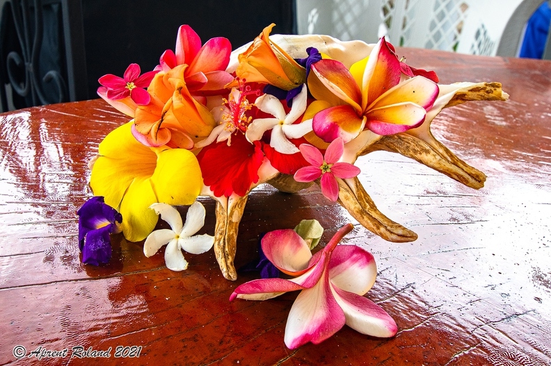 Stillleben Blüten.jpg