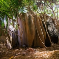 SYC La Digue Jungle 2