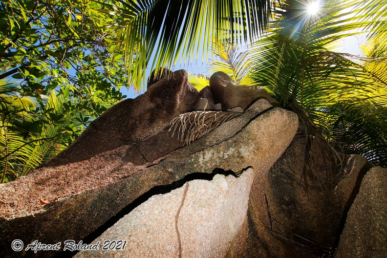 SYC La Digue Jungle_4.jpg