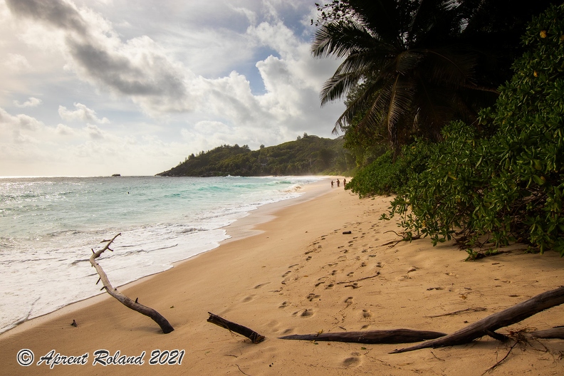 SYC Mahe Anse Intendance_2.jpg