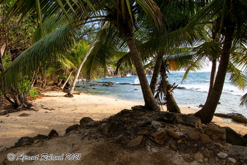 SYC Mahe Petit Police_11.jpg