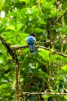 La Selva 096