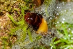 La Selva 097