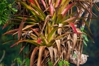La Selva 112