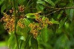 La Selva 122