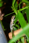 La Selva 123