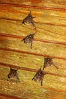 La Selva 124