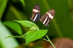 La Selva 128
