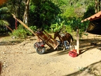 Corcovado National Park