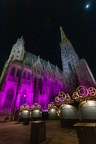 Stephansdom Weihnacht