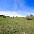 Wienerwald 2