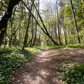 Wienerwald 4