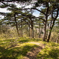 Wienerwald 6